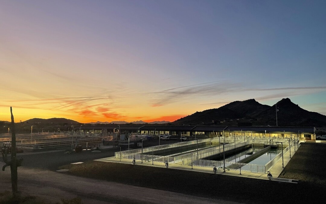 Pyramid Peak Water Treatment Plant Expansion (AZ)
