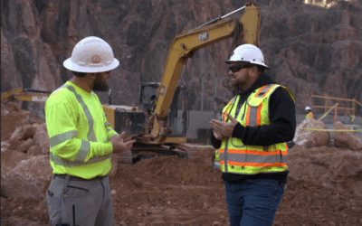 The Partnership Blueprint: Risk Mitigation in Collaborative Delivery