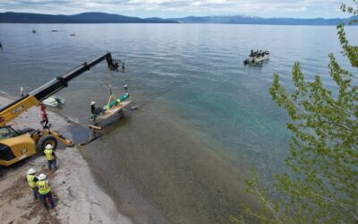Future-Ready Infrastructure: How Collaborative Delivery Enhances Long-Term Value in Water Engineering