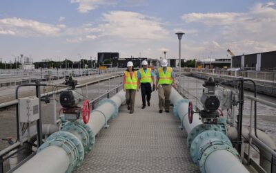 Bilingual Leadership: the Prime’s Advocacy Role in Design-Build